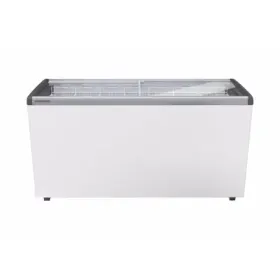 Liebherr EFE 5152 Eiscreme-Gefriertruhe Gastro Gefriertruhe – weiss Liebherr EFE 5152 Eiscreme-Gefriertruhe Gastro Gefriertruhe – weiss