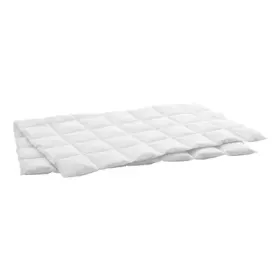Couette en duvet Billerbeck Karoduvet Swiss Dream Light Couette en duvet Billerbeck Karoduvet Swiss Dream Light