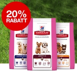 20% Rabatt auf Hundefutter bei Qualipet