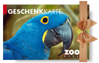 Zoo Zürich Geschenkkarte