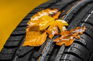 Autofahren Im Herbst