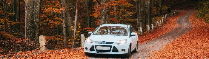 Laub macht die Strasse rutschig